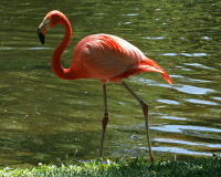Zoo