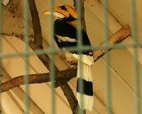 Zoo