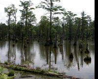 Horseshoe Lake